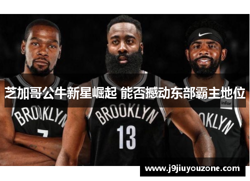 芝加哥公牛新星崛起 能否撼动东部霸主地位
